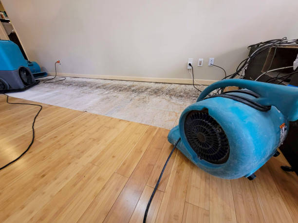 Professional Flood Damage Cleanup technician working in Salem, IN